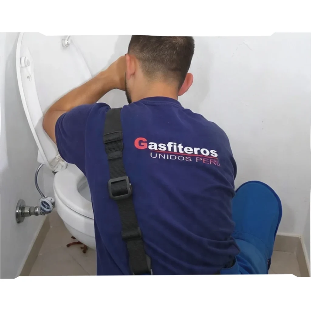 Gasfitero sanitario San Mart&iacute;n de Porres